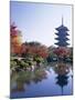 Autumn Leaves and Five-Story Pagoda, Toji Temple (Kyo-O-Gokoku-Ji), Kyoto, Honshu, Japan-null-Mounted Photographic Print