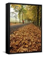 Autumn Leaves and Lone Figure at More Hall Reservoir, South Yorkshire, England-Neale Clarke-Framed Stretched Canvas