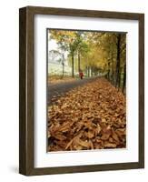 Autumn Leaves and Lone Figure at More Hall Reservoir, South Yorkshire, England-Neale Clarke-Framed Photographic Print