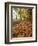 Autumn Leaves and Lone Figure at More Hall Reservoir, South Yorkshire, England-Neale Clarke-Framed Photographic Print