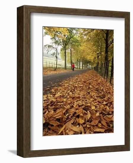 Autumn Leaves and Lone Figure at More Hall Reservoir, South Yorkshire, England-Neale Clarke-Framed Photographic Print