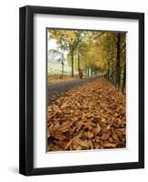 Autumn Leaves and Lone Figure at More Hall Reservoir, South Yorkshire, England-Neale Clarke-Framed Photographic Print