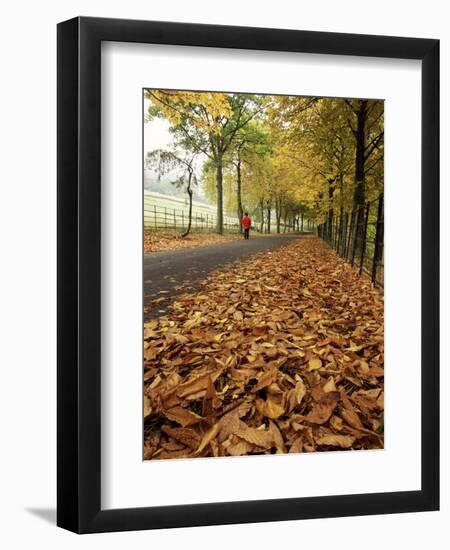 Autumn Leaves and Lone Figure at More Hall Reservoir, South Yorkshire, England-Neale Clarke-Framed Photographic Print