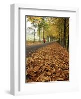 Autumn Leaves and Lone Figure at More Hall Reservoir, South Yorkshire, England-Neale Clarke-Framed Photographic Print