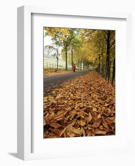 Autumn Leaves and Lone Figure at More Hall Reservoir, South Yorkshire, England-Neale Clarke-Framed Photographic Print