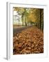 Autumn Leaves and Lone Figure at More Hall Reservoir, South Yorkshire, England-Neale Clarke-Framed Photographic Print