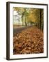 Autumn Leaves and Lone Figure at More Hall Reservoir, South Yorkshire, England-Neale Clarke-Framed Photographic Print