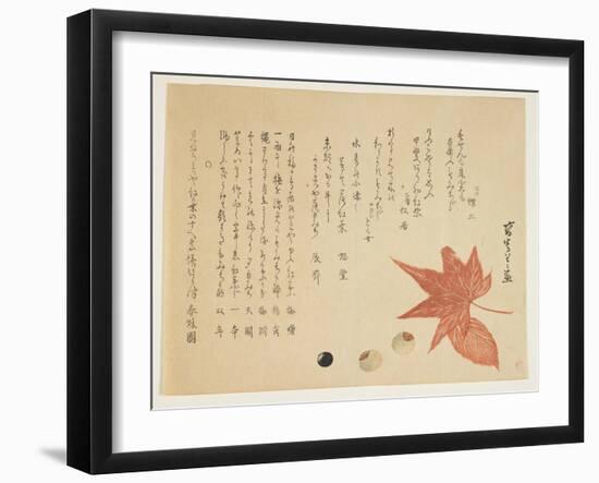 Autumn Leaves and Nuts, 1849-76-Ko Sukoku II-Framed Giclee Print