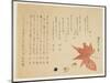 Autumn Leaves and Nuts, 1849-76-Ko Sukoku II-Mounted Giclee Print