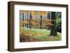 Autumn Leaves and Tree Trunks, Rynartice, Bohemian Switzerland National Park, Czech Republic-Ruiz-Framed Photographic Print