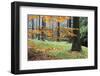 Autumn Leaves and Tree Trunks, Rynartice, Bohemian Switzerland National Park, Czech Republic-Ruiz-Framed Photographic Print