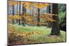 Autumn Leaves and Tree Trunks, Rynartice, Bohemian Switzerland National Park, Czech Republic-Ruiz-Mounted Photographic Print