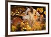 Autumn Leaves and Wolf-Gordon Semmens-Framed Photographic Print