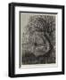 Autumn Leaves are Falling-null-Framed Giclee Print