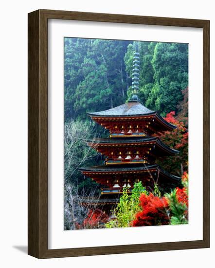 Autumn Leaves at Hase Temple-null-Framed Photographic Print