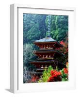 Autumn Leaves at Hase Temple-null-Framed Photographic Print
