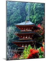 Autumn Leaves at Hase Temple-null-Mounted Photographic Print