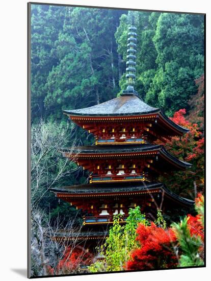 Autumn Leaves at Hase Temple-null-Mounted Photographic Print