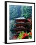 Autumn Leaves at Hase Temple-null-Framed Photographic Print