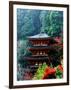 Autumn Leaves at Hase Temple-null-Framed Photographic Print