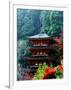 Autumn Leaves at Hase Temple-null-Framed Photographic Print