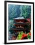 Autumn Leaves at Hase Temple-null-Framed Photographic Print