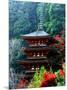 Autumn Leaves at Hase Temple-null-Mounted Photographic Print