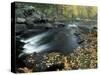 Autumn Leaves at Packers Falls on the Lamprey River, New Hampshire, USA-Jerry & Marcy Monkman-Stretched Canvas