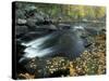 Autumn Leaves at Packers Falls on the Lamprey River, New Hampshire, USA-Jerry & Marcy Monkman-Stretched Canvas