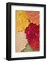 Autumn Leaves, Drops of Water, Close-Up-Rainer Mirau-Framed Photographic Print