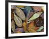 Autumn Leaves Float in a Pond at the Japanese Garden of Portland, Oregon, Tuesday, October 24, 2006-Rick Bowmer-Framed Photographic Print