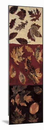 Autumn Leaves I-Gail Altschuler-Mounted Giclee Print