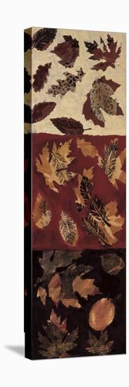 Autumn Leaves I-Gail Altschuler-Stretched Canvas