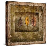 Autumn Leaves I-LightBoxJournal-Stretched Canvas