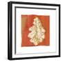 Autumn Leaves II-M^ Della Casa-Framed Art Print