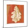 Autumn Leaves II-M^ Della Casa-Mounted Art Print