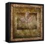 Autumn Leaves II-LightBoxJournal-Framed Stretched Canvas