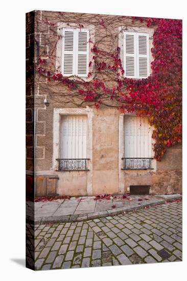 Autumn Leaves in Noyers-Sur-Serein-Julian Elliott-Stretched Canvas