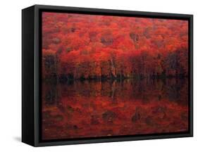 Autumn Leaves in Tutanuma-null-Framed Stretched Canvas