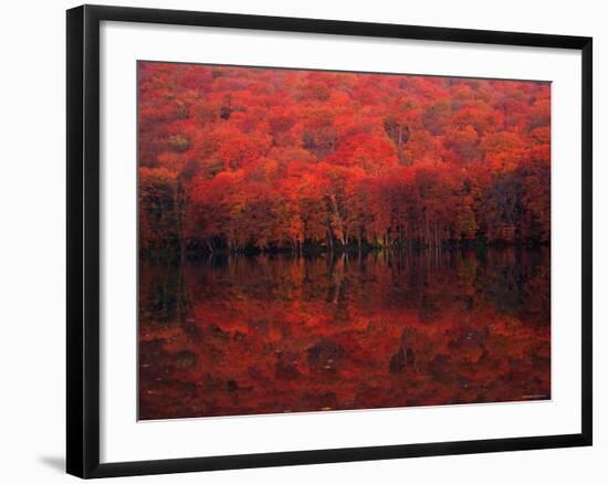 Autumn Leaves in Tutanuma-null-Framed Premium Photographic Print