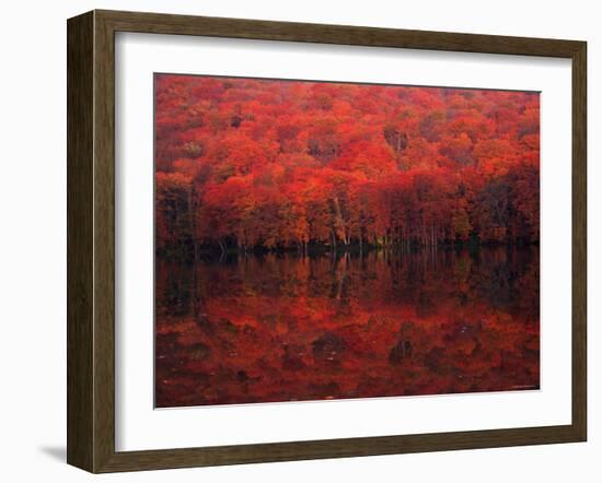 Autumn Leaves in Tutanuma-null-Framed Photographic Print