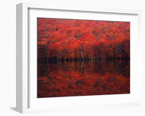 Autumn Leaves in Tutanuma-null-Framed Photographic Print