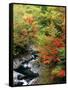 Autumn Leaves, Nakatsugawa, Fukushima, Japan-null-Framed Stretched Canvas