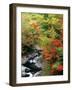 Autumn Leaves, Nakatsugawa, Fukushima, Japan-null-Framed Premium Photographic Print