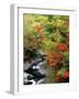 Autumn Leaves, Nakatsugawa, Fukushima, Japan-null-Framed Premium Photographic Print