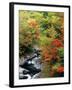 Autumn Leaves, Nakatsugawa, Fukushima, Japan-null-Framed Photographic Print