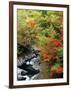 Autumn Leaves, Nakatsugawa, Fukushima, Japan-null-Framed Photographic Print