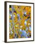 Autumn Leaves on Aspen Tree in the Sierra Nevada Range, Bishop, California, Usa-Dennis Flaherty-Framed Photographic Print