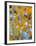 Autumn Leaves on Aspen Tree in the Sierra Nevada Range, Bishop, California, Usa-Dennis Flaherty-Framed Photographic Print