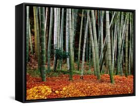 Autumn Leaves on Ground at Saiho-Ji, Kyoto, Japan-Frank Carter-Framed Stretched Canvas